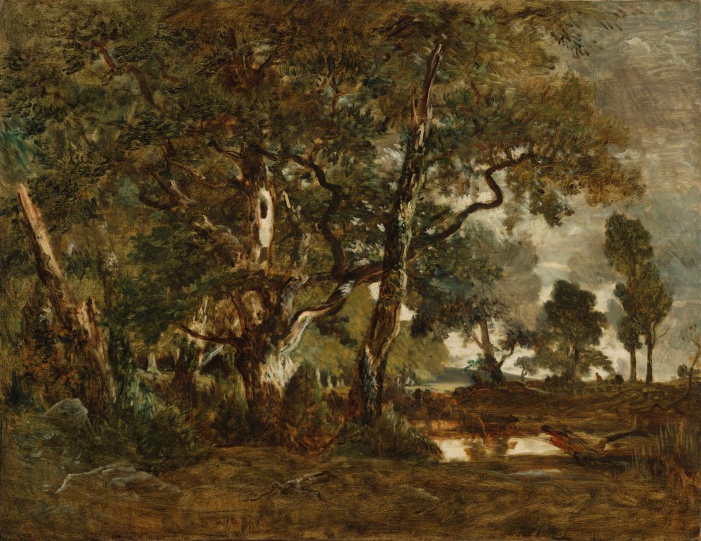 A watery lanscape in a marsh, trees blend together into a forest on the left or spill into sky on the right.