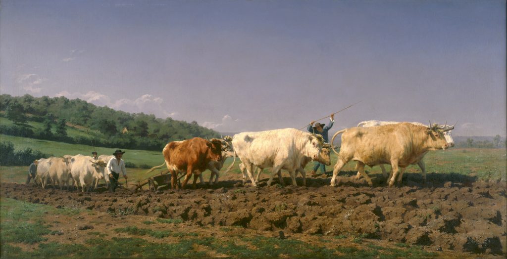 Four ranches plow dirt with a cattle. Around them is a natural landscape.