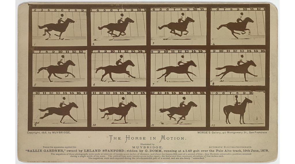12 sequential photographs of a horse galloping. "THE HORSE IN MOTION" professes the print's title.