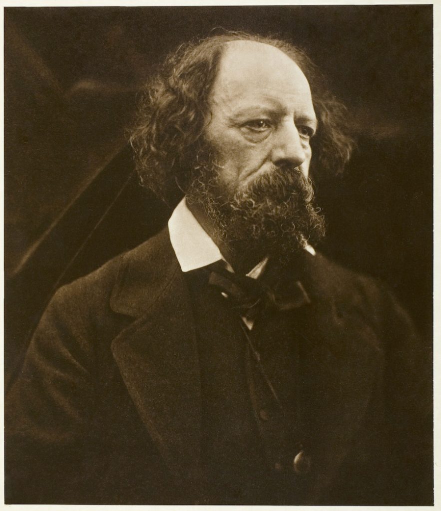 An aged gentleman with curly hair and a large beard wears a formal suit for this photographic portrait.