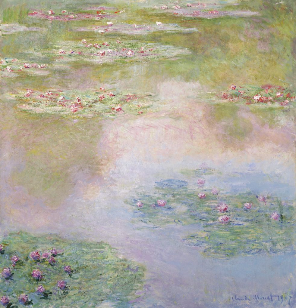 A calm pond carrying Nympheas, reflecting an un-seen forest.