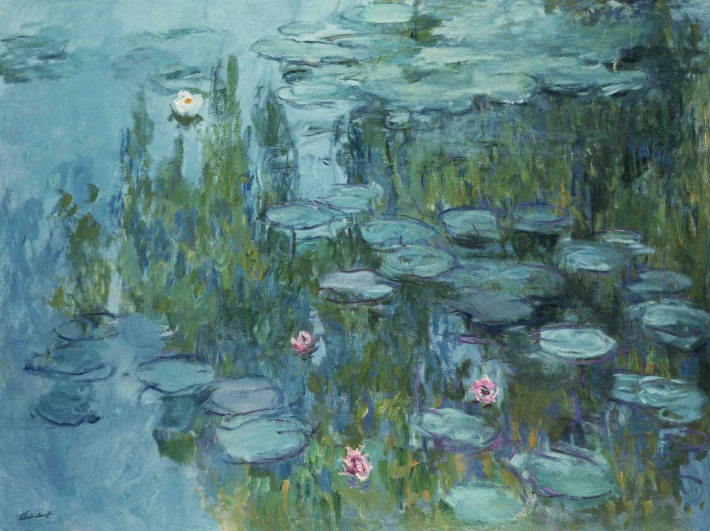 Semi-transluscent water lilies, some stemming into pink flower pedals, sit on a turquoise blue pond.