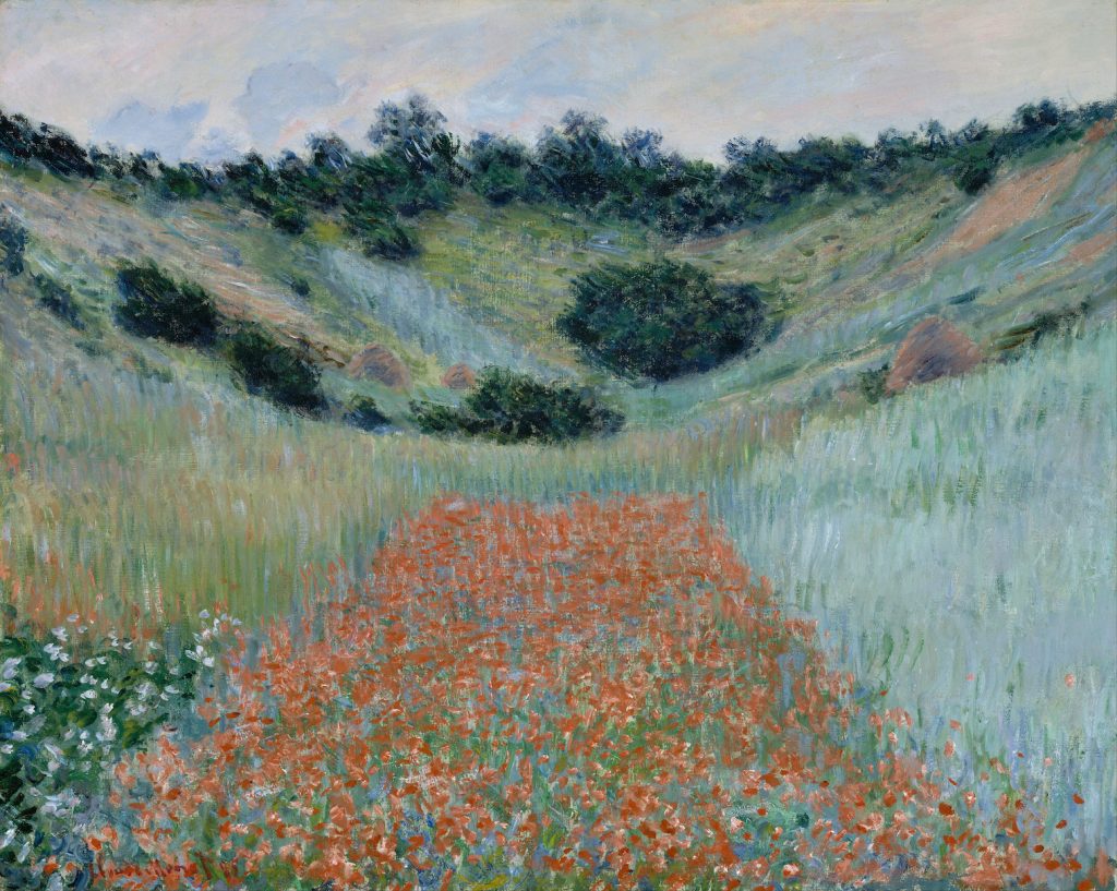 A verdant poppy field curved towards us, red poppies central in the canvas. Folliage stretches outwards behind them.