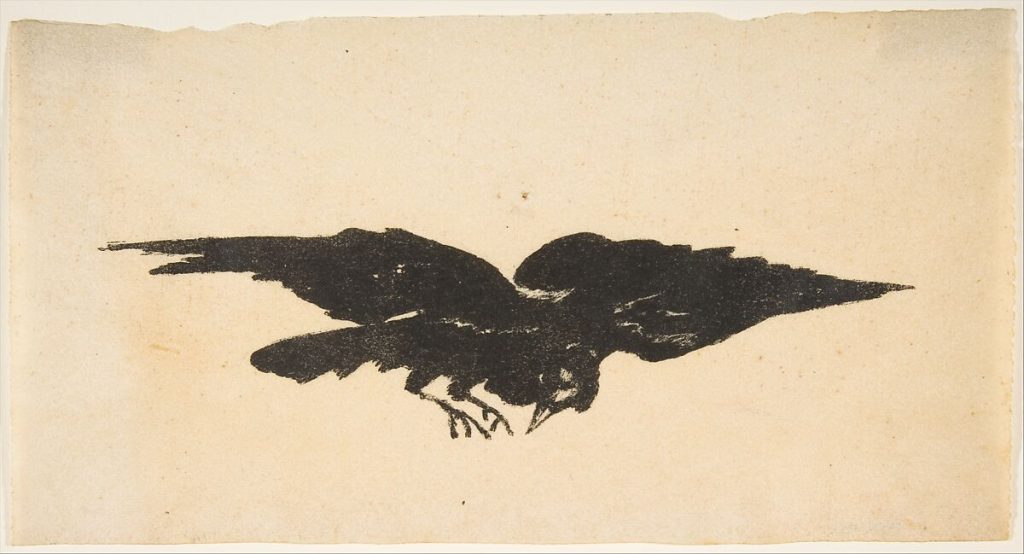 A black-inked lithographic silhouette of a crow mid-flight.