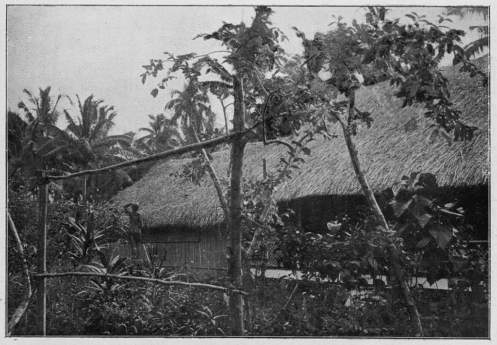 A dark black and white photograph of a straw-roofed house surrounded by forest.