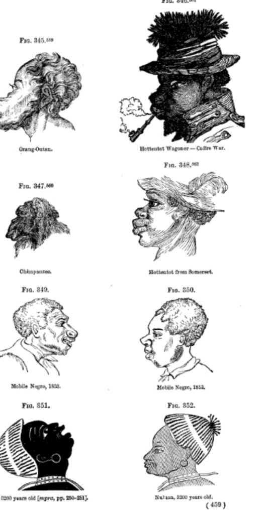 A sequential series of black caricature figurations expressing various versions of the "negro". Features are grotesquely exaggerated.