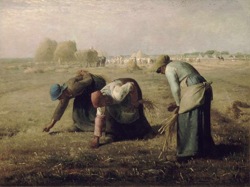 Three working women at a farm, grasping weeds.