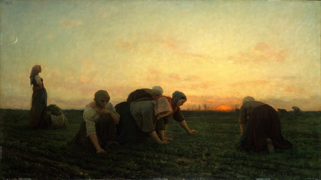 Women wearing fabrics and shawls work a field, nearly silhouetted by the sunset.