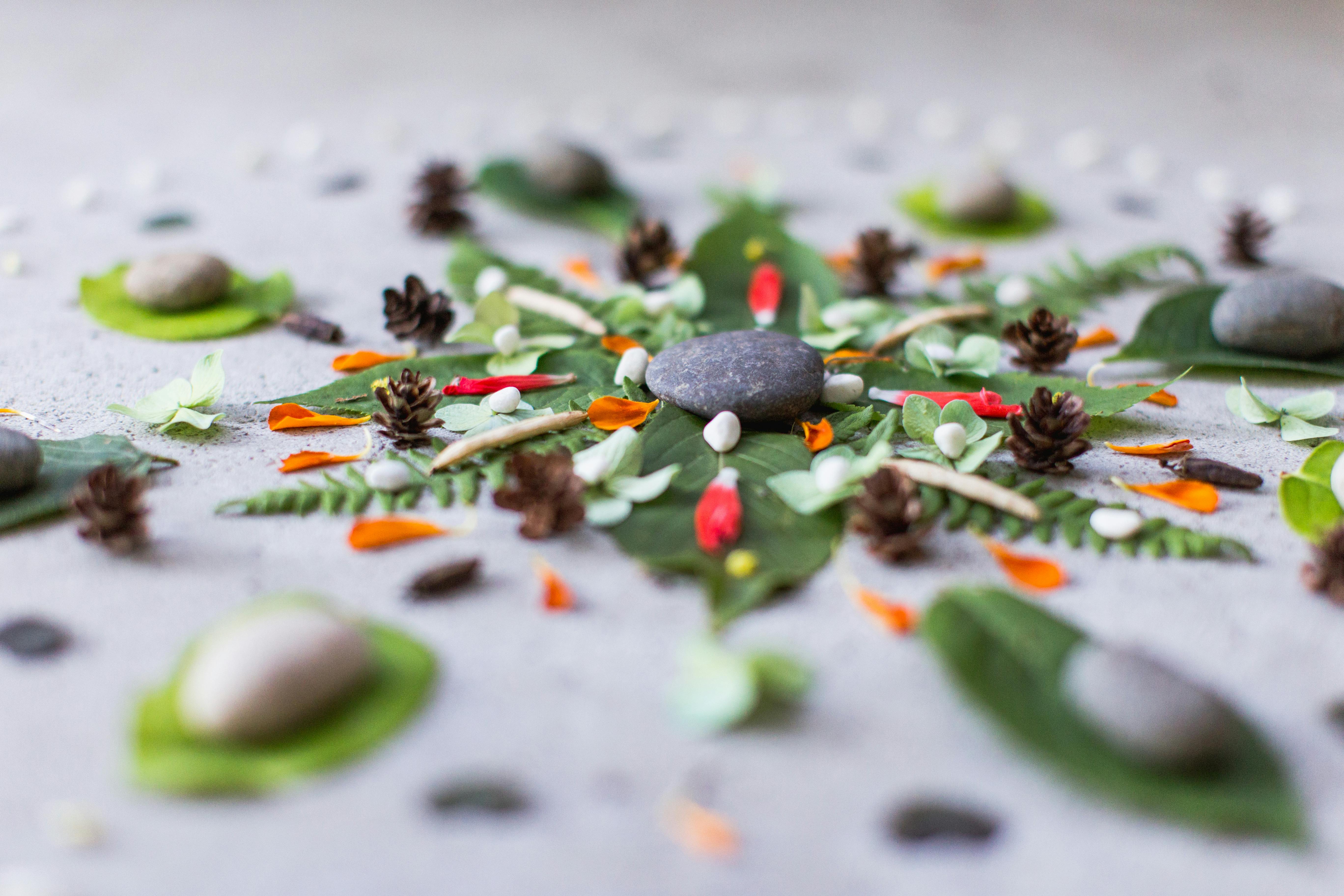 An arrangement of ebbles, leaves pinecones and flower petals in a mandala shape