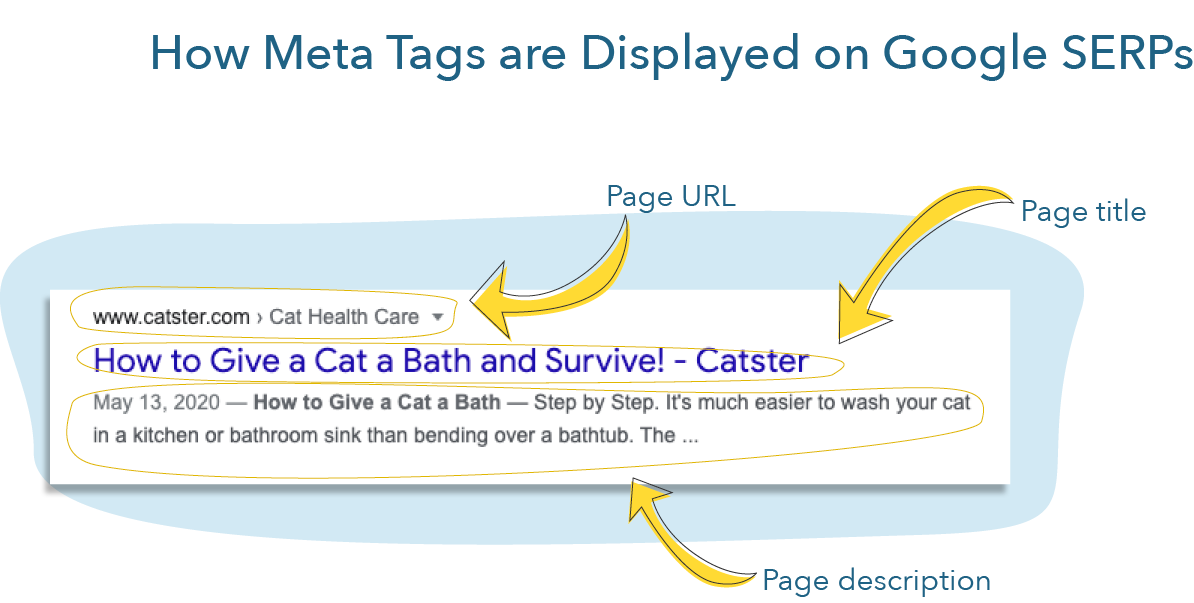 Page URL: www.catster.com Cat Health Care. Page title: How to Give a Cat a Bath and Survive! Page description: How to Give a Cat a Bath.