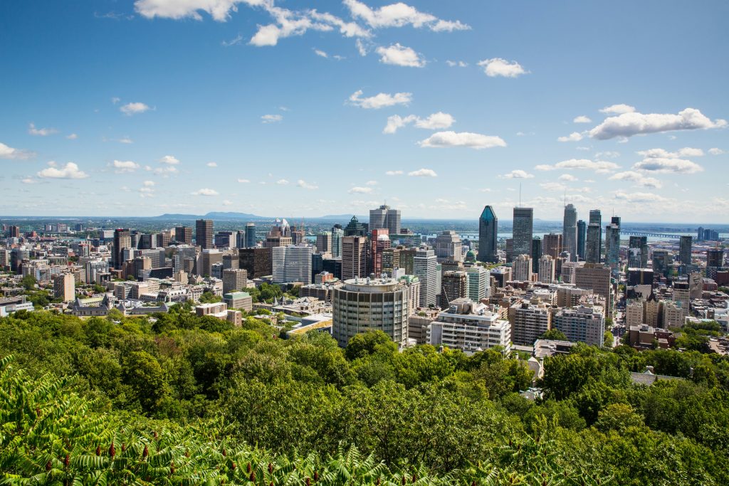 Panoramic photo of downtown Montreal taken from the top of Mont Royal. In the foreground are a forest of green trees. Tall concrete and glass buildings in the middle ground, and St. Lawrence in the background.