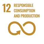 Responsible consumption and production SDG goal 12
