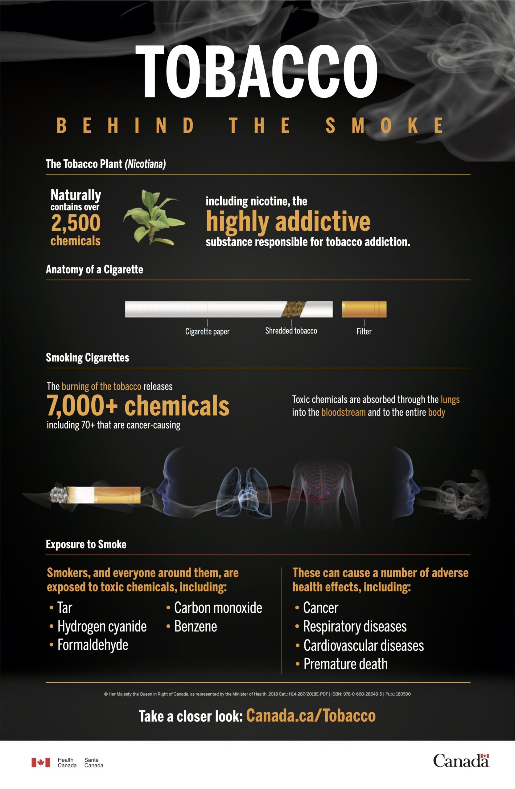 2.11.1. Smoking Vaping and Tobacco Fundamentals of Health and