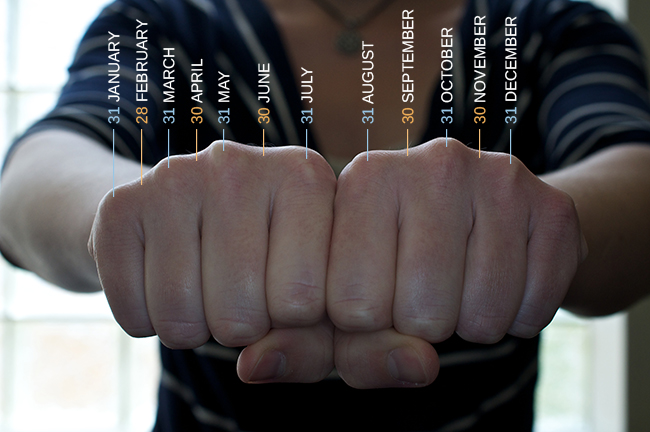 A person holding their hands in fists together so the knuckles line up. The months of the year are labelled from left to right starting from the pinky knuckle. A month is either on a knuckle or in the space between two knuckles.