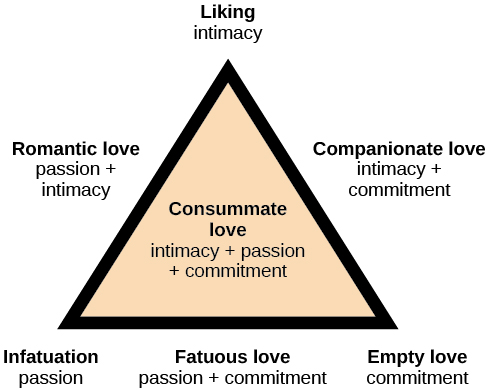 Diagram shows a triangle. The interior of the triangle is labeled, “Consummate love; intimacy + passion + commitment.” The peak of the triangle is labeled, “Liking; intimacy.” The left side of the triangle is labeled, “Romantic love; passion + intimacy.” The right side of the triangle is labeled, “Companionate love; intimacy + commitment.” The bottom left corner of the triangle is labeled, “Infatuation; passion.” The bottom side of the triangle is labeled, “Fatuous love; passion + commitment.” The bottom right corner of the triangle is labeled, “Empty love; commitment.” Diagram shows a triangle. The interior of the triangle is labeled, “Consummate love; intimacy + passion + commitment.” The peak of the triangle is labeled, “Liking; intimacy.” The left side of the triangle is labeled, “Romantic love; passion + intimacy.” The right side of the triangle is labeled, “Companionate love; intimacy + commitment.” The bottom left corner of the triangle is labeled, “Infatuation; passion.” The bottom side of the triangle is labeled, “Fatuous love; passion + commitment.” The bottom right corner of the triangle is labeled, “Empty love; commitment.”