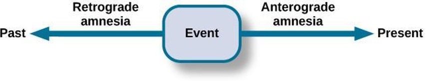 A continuum that starts in the center with an event. Then an arrow extends back in time to the past - which is retrograde amnesia. And a second arrow points forward opposite to the present - which is anterograde amnesia.