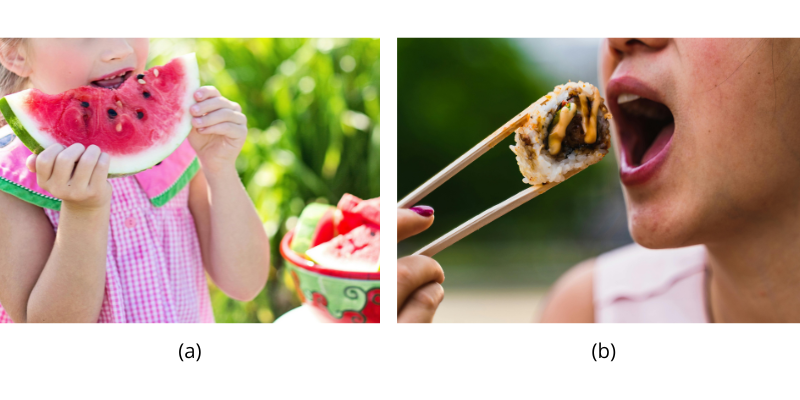 Photograph “a” shows a child eating watermelon. Photograph “b” shows a young person eating sushi.