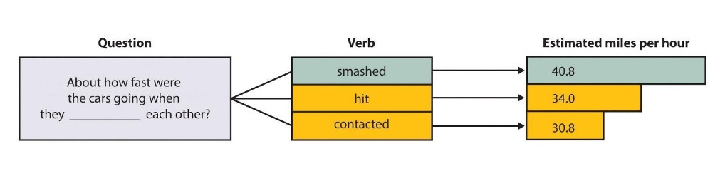 Image described in surrounding text.