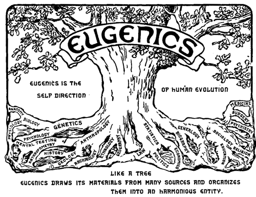 Black-and-white sketch of tree labeled “Eugenics.”