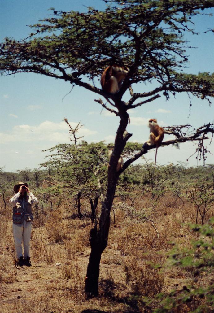 A person using binoculars to look at monkeys.