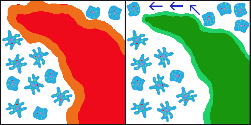 An illustration of gene flow.