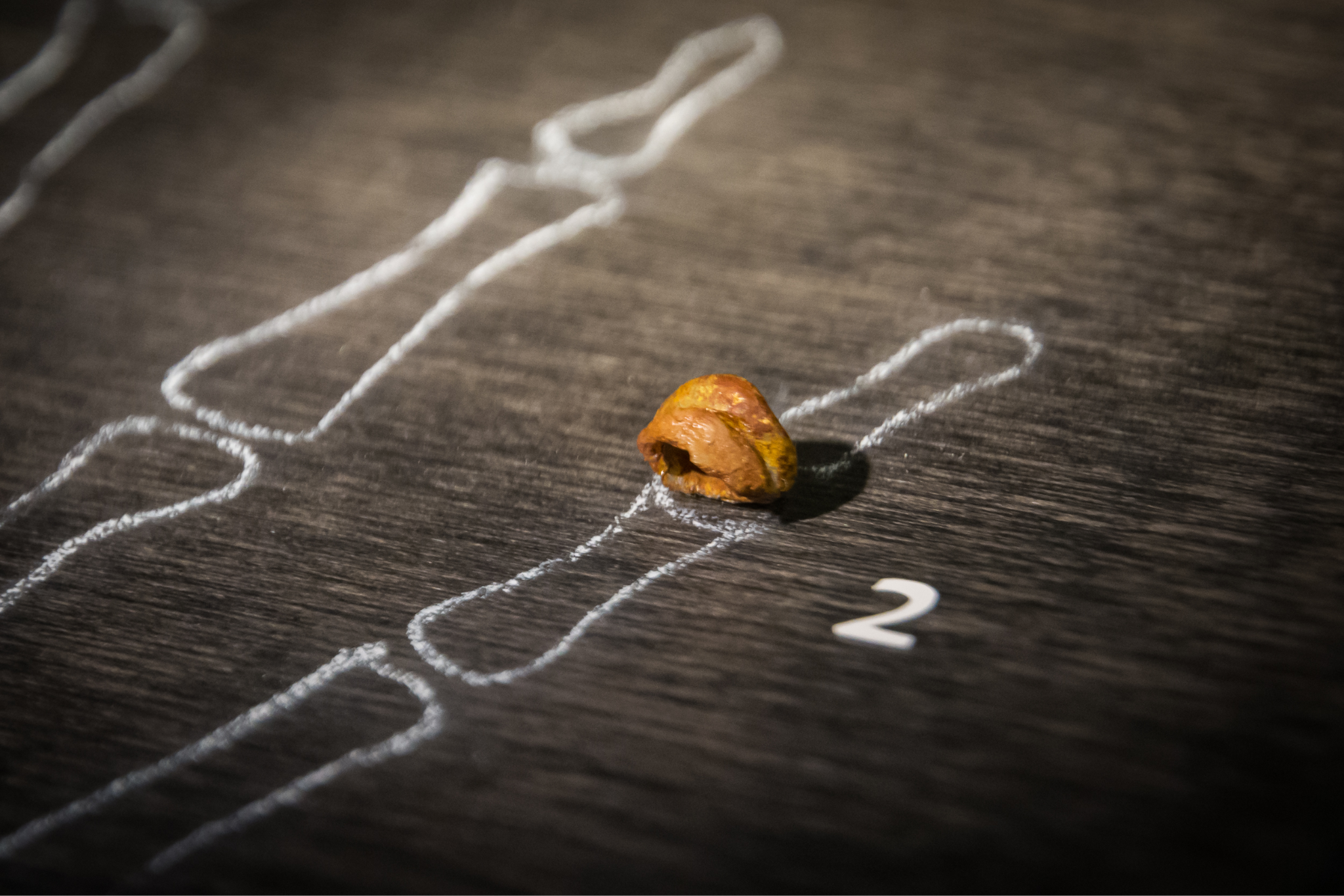 Small fossilized finger bone sitting atop a chalk outline of hand bones.