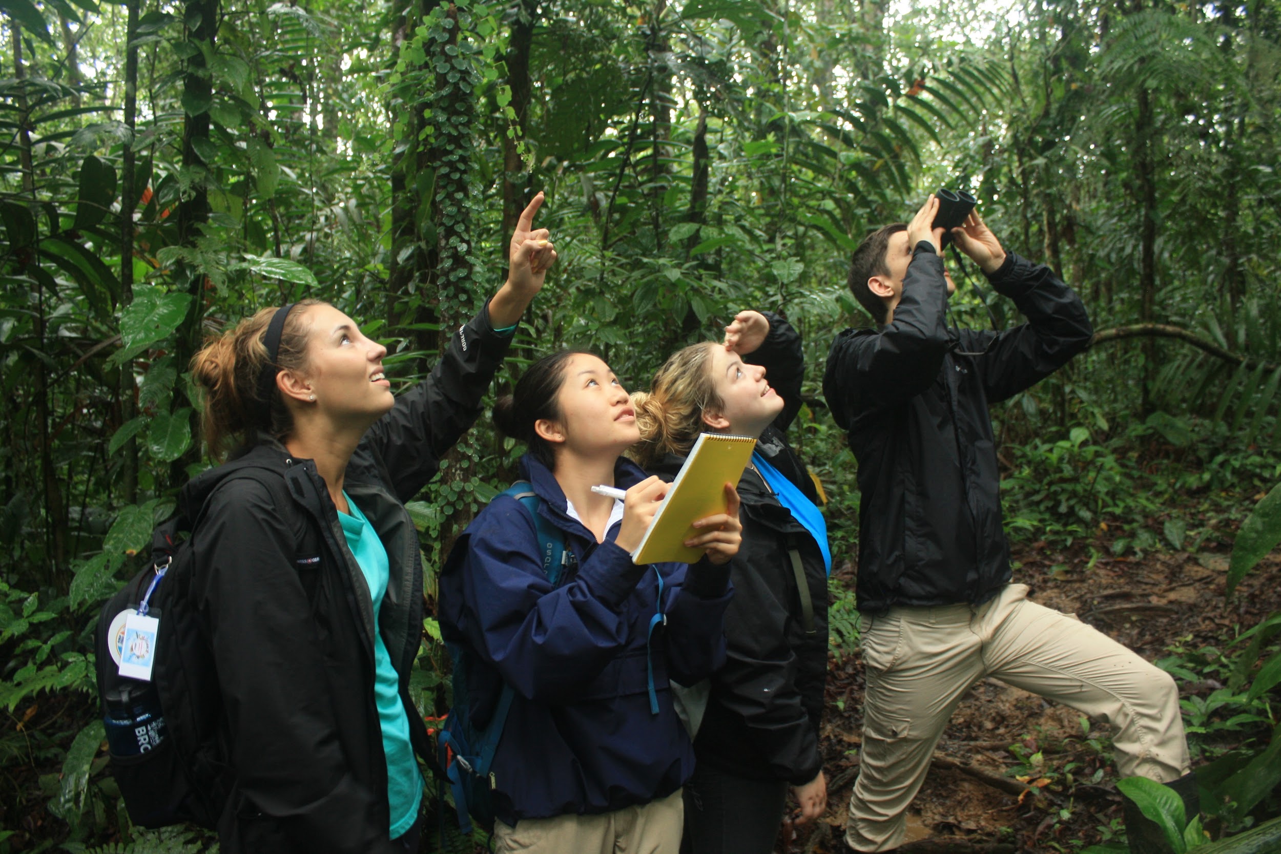 Four students looking up, pointing, and using binoculars.