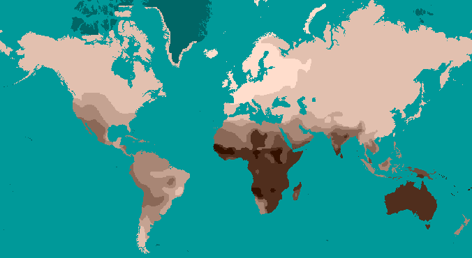 A global map shaded representing skin colors. 