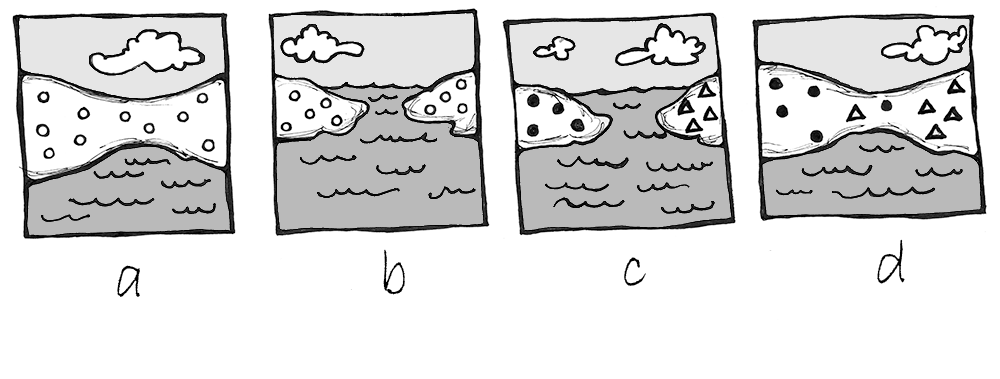 Process of isolation leading to speciation, as described in the figure caption.