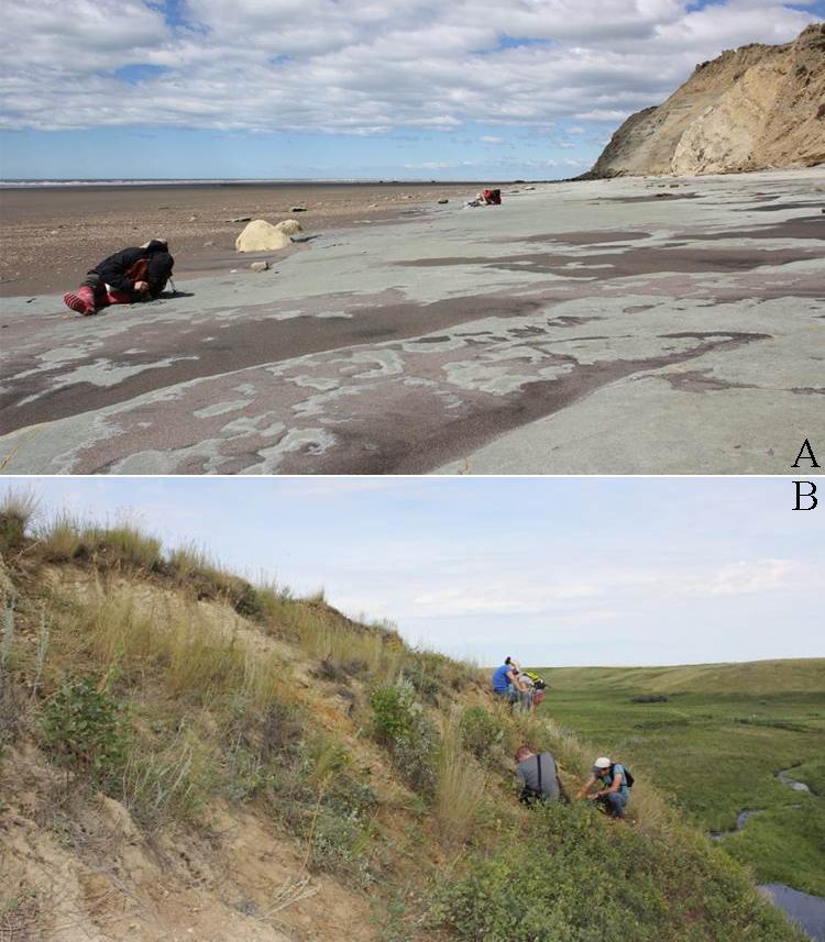 Sandy rocky coastline. People digging on a grassy hillside.