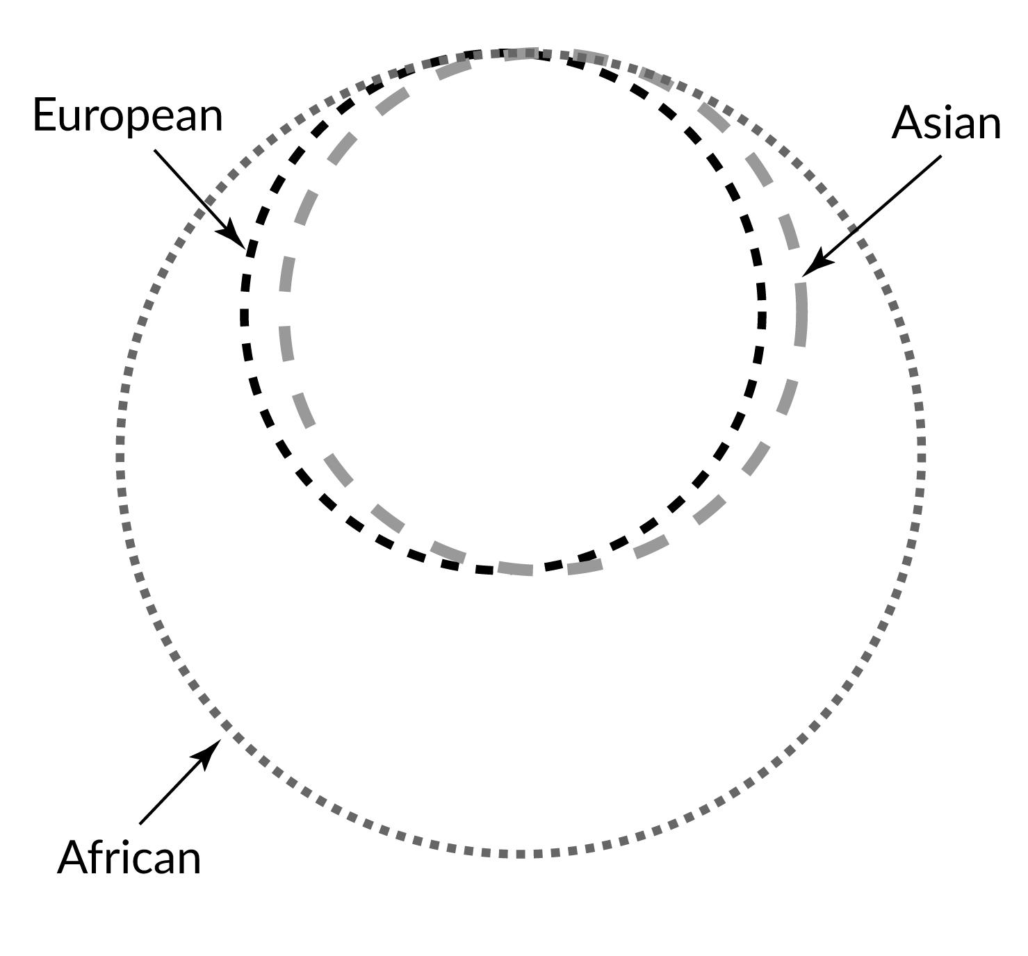 Two medium-sized circles labeled Asian and European largely overlap. A larger circle labeled African surrounds both. 