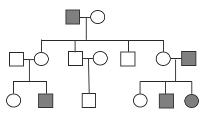 A three-generation pedigree with four males and one female with the trait. Please see text discussion for details.