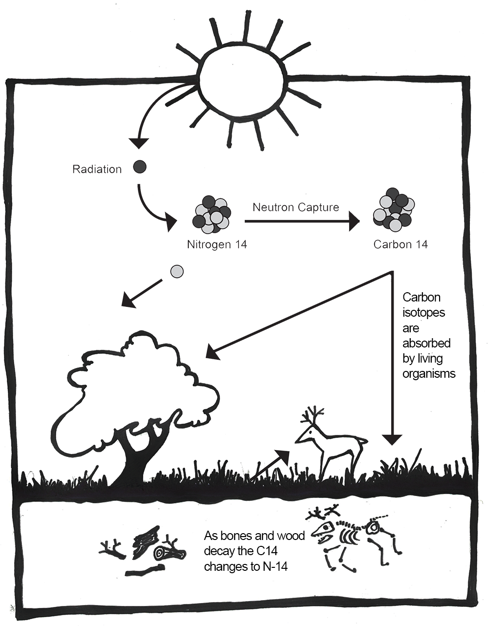 Creation of Carbon 14.