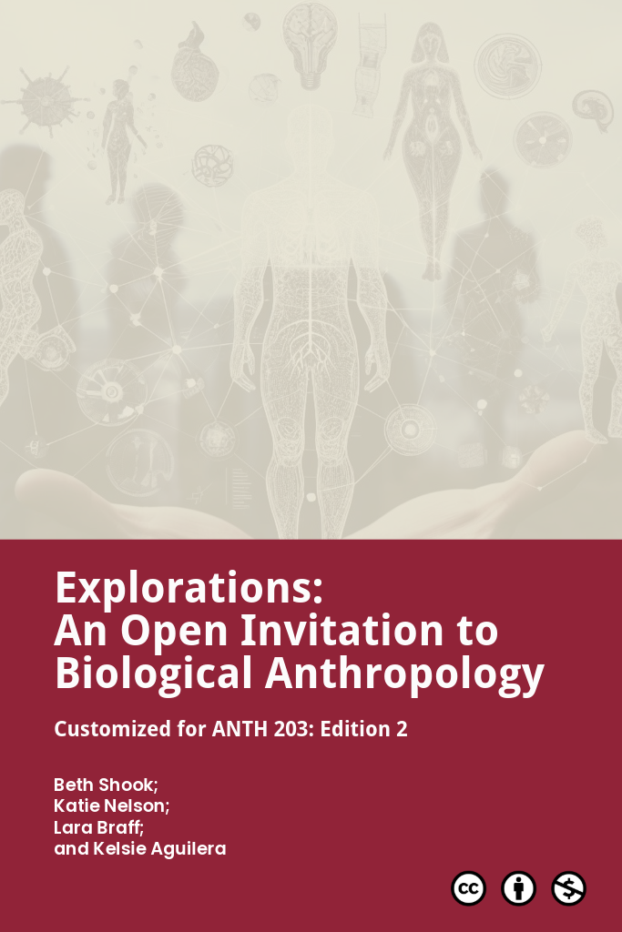 Cover image for Explorations (Version 2): An Open Invitation to Biological Anthropology